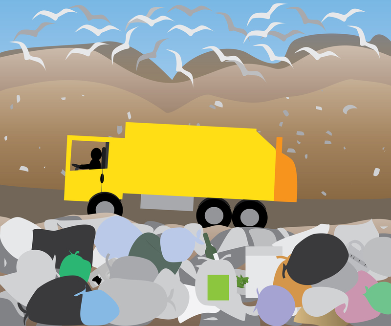 The Ultimate Guide to Responsible Packaging and Cardboard Disposal